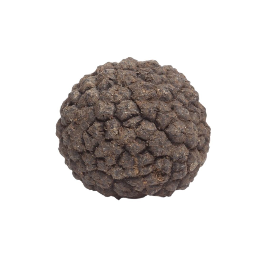 Fresh Truffles Winter Black per kg kilo Albion Fine Foods Ltd.