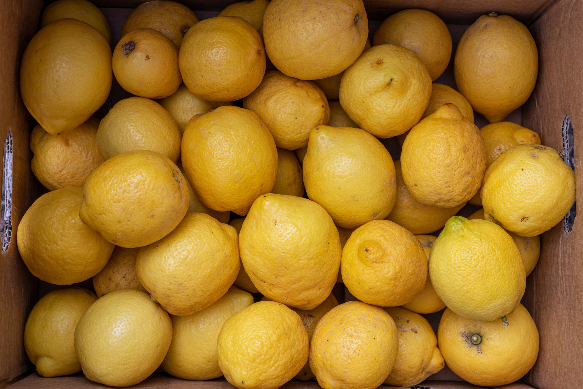Lemons Fresh *BOX* 15kg Albion Fine Foods Ltd.