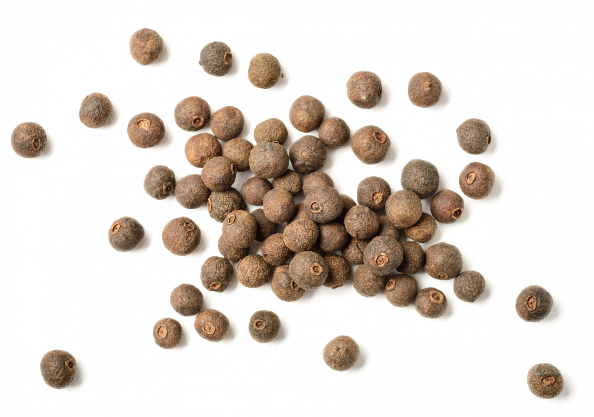 Allspice Berries 500g Albion Fine Foods Ltd.