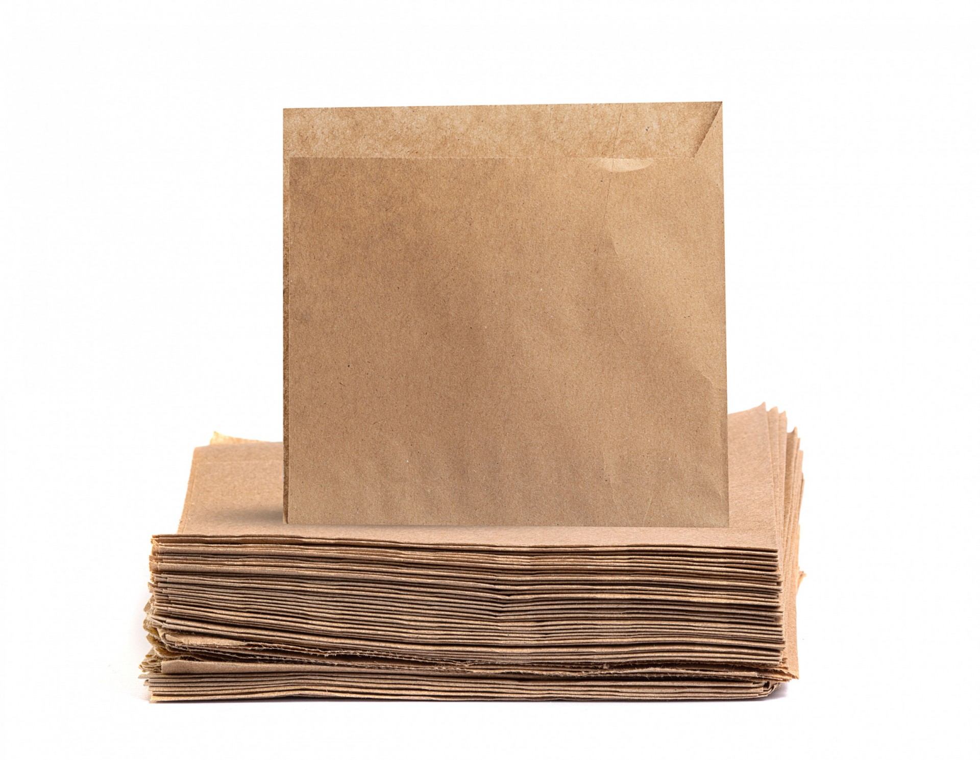 Toastie Bags Disposable x 1000 Albion Fine Foods Ltd.