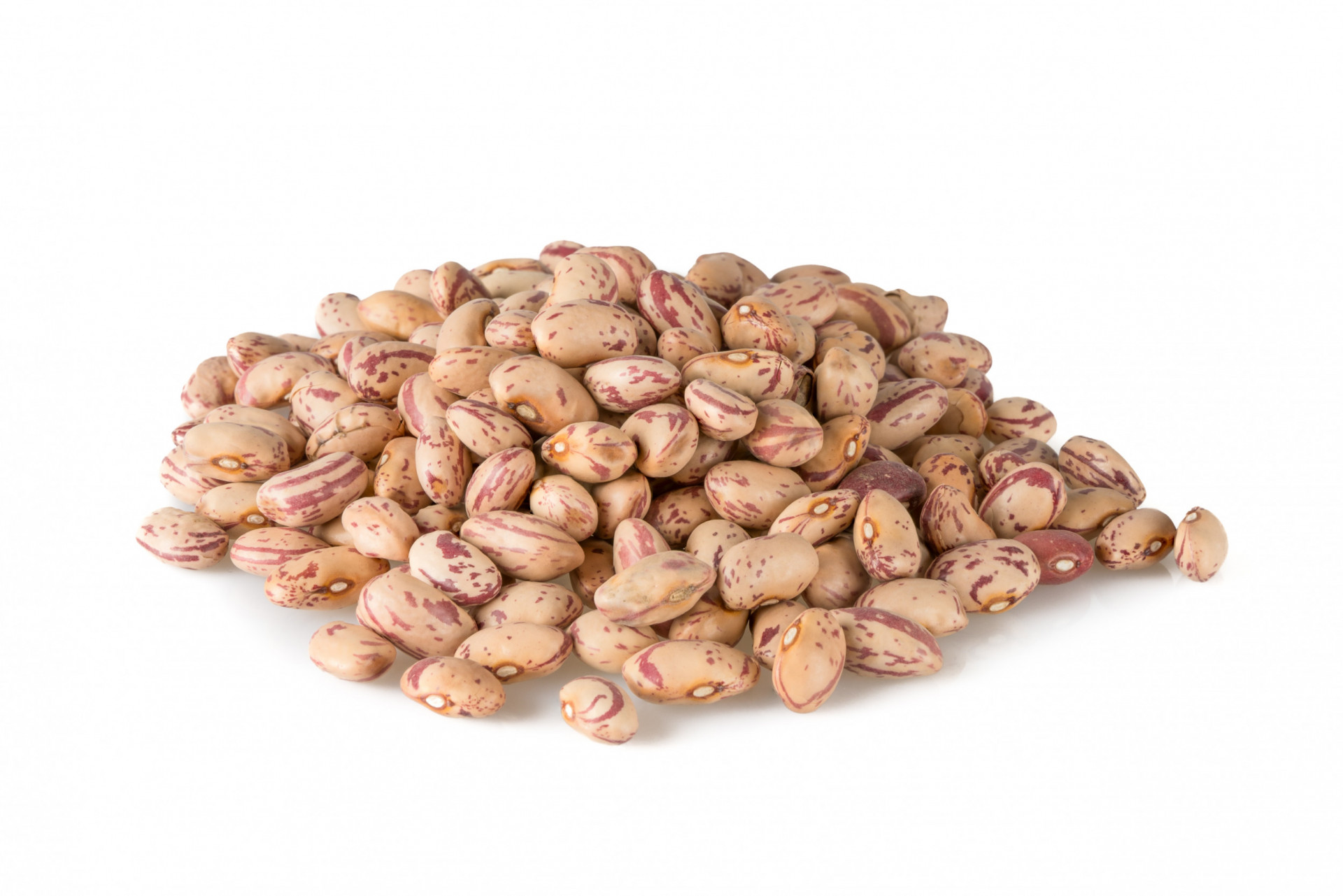 Borlotti Beans Dried 1kg Albion Fine Foods