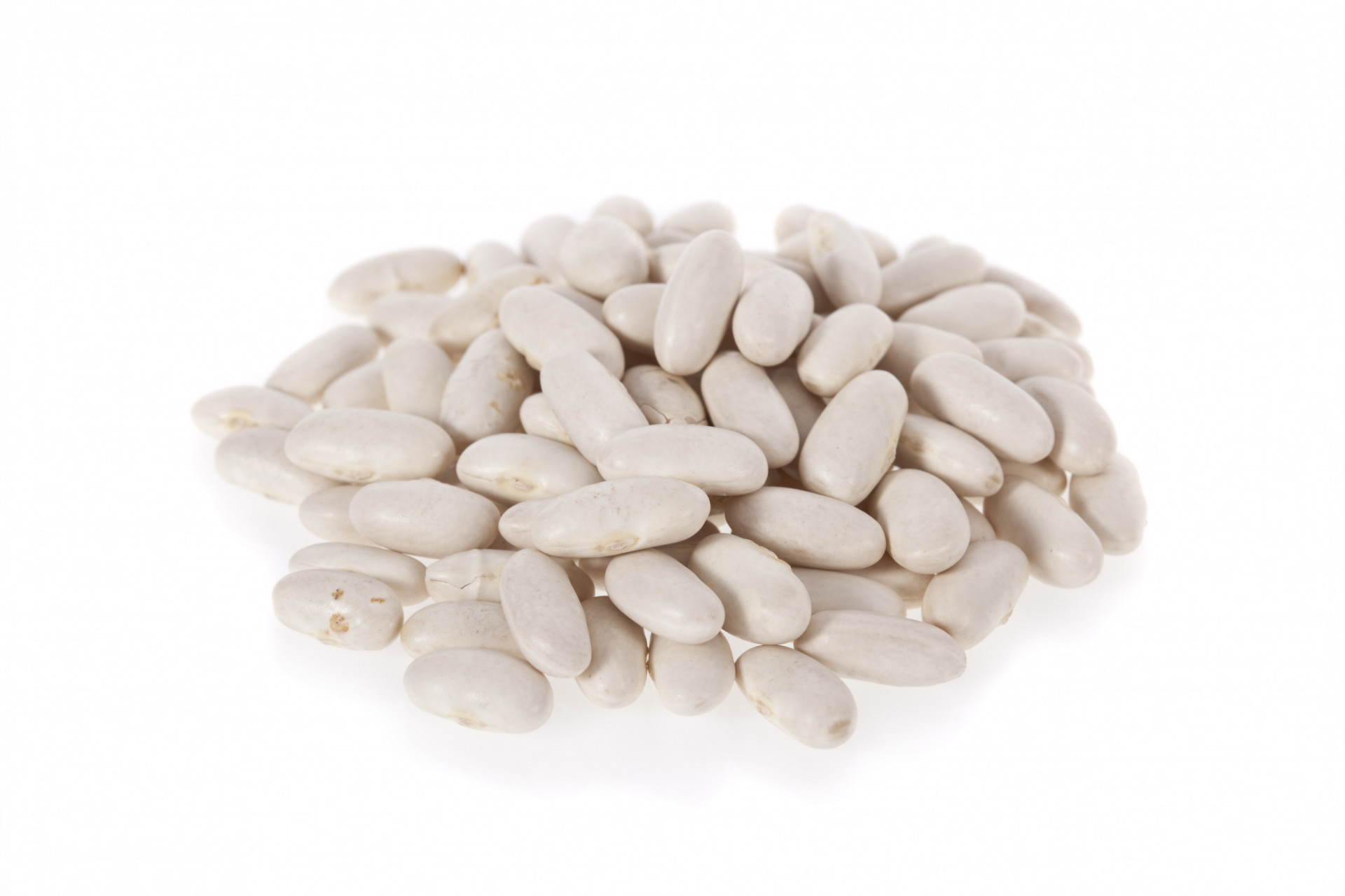 Cannellini Beans Dried 1kg Albion Fine Foods