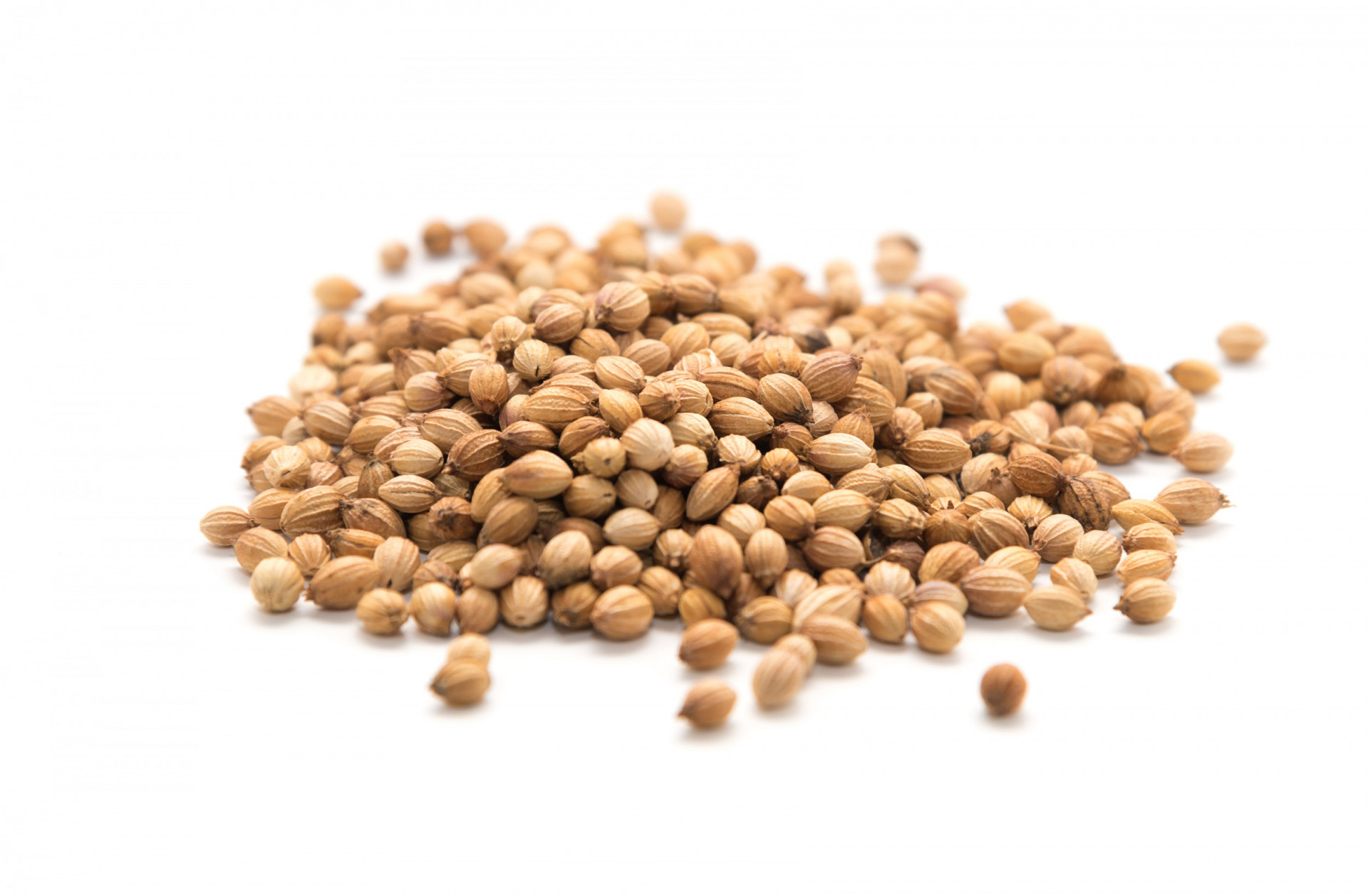 Coriander Seeds 325g Albion Fine Foods