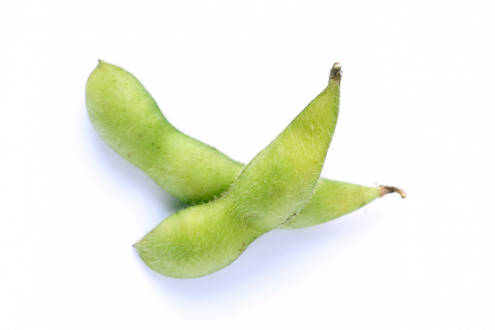 Edamame Beans Shell On 500g Albion Fine Foods Ltd.