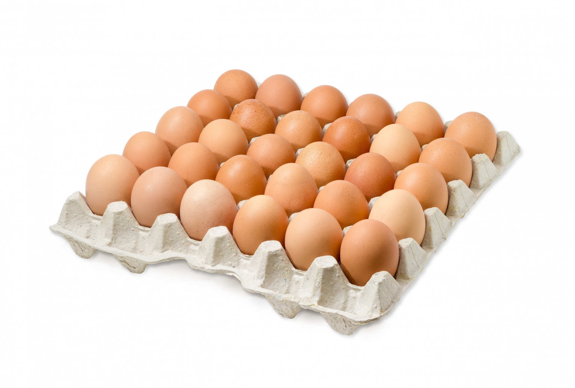 Eggs Box Medium Free Range 15 dozen Albion Fine Foods