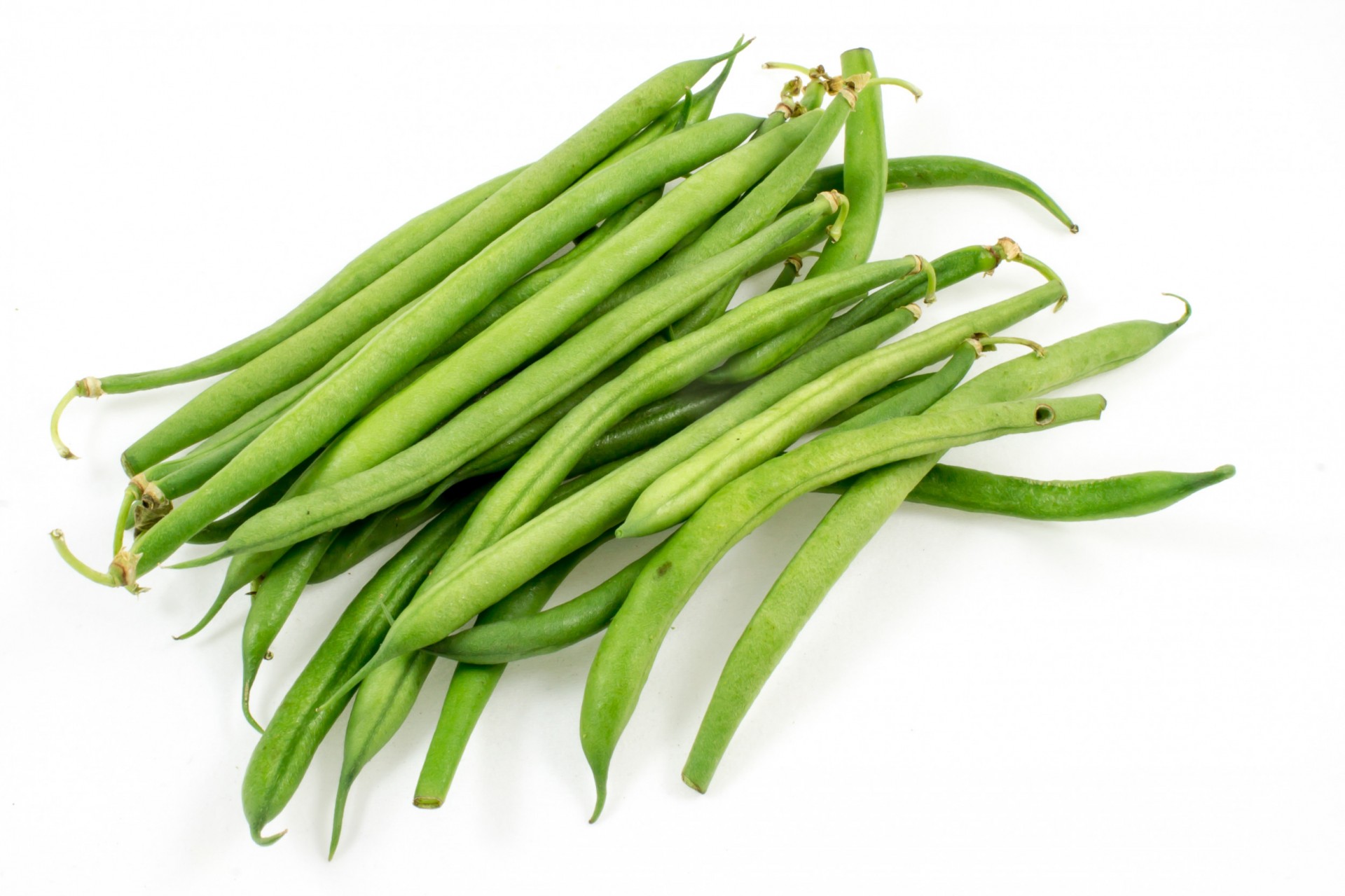 French Fine green beans kilo Albion Fine Foods