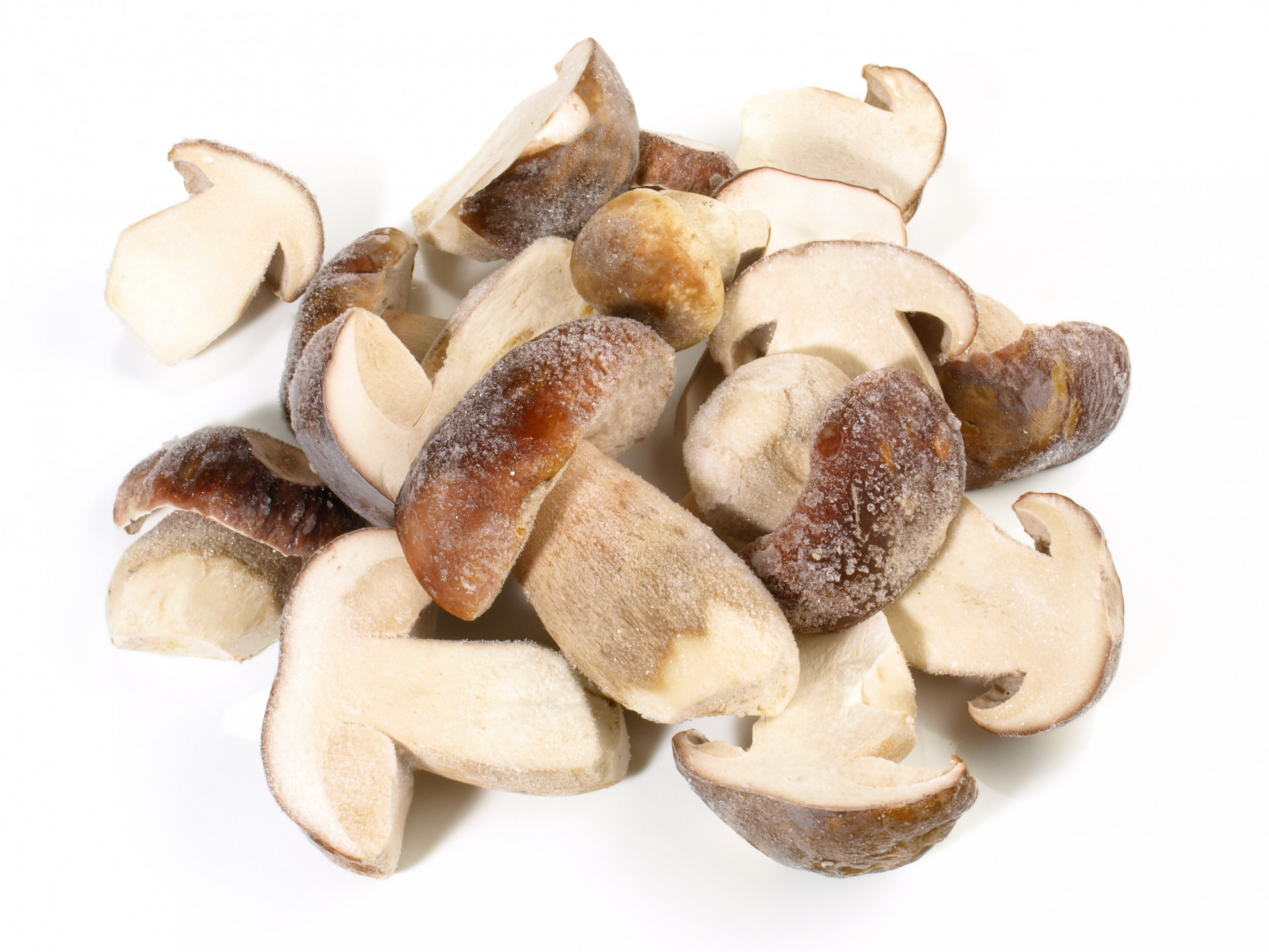 Cepes / Porcini Mushrooms 1kg Albion Fine Foods
