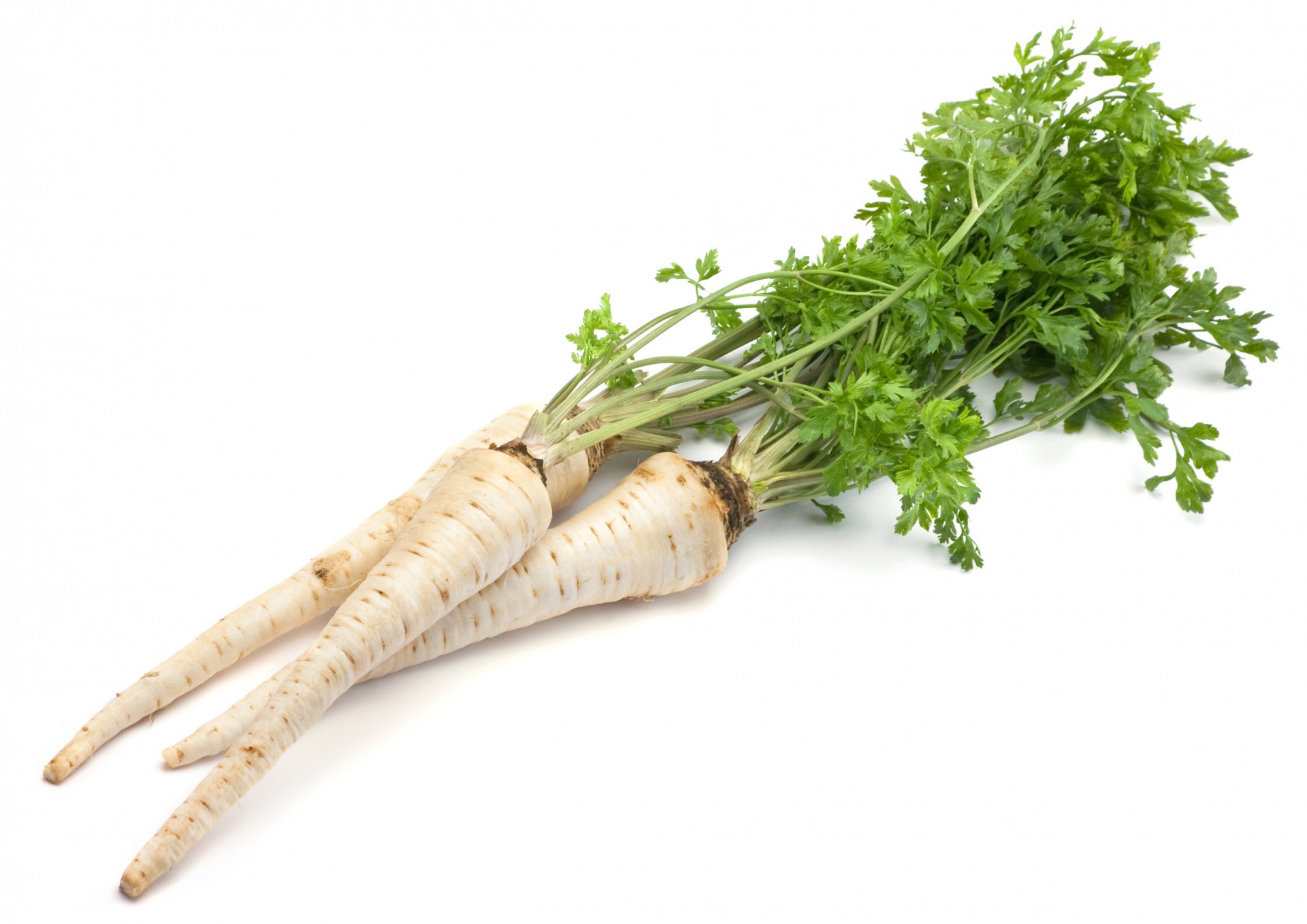 Parsley Roots kilo Albion Fine Foods