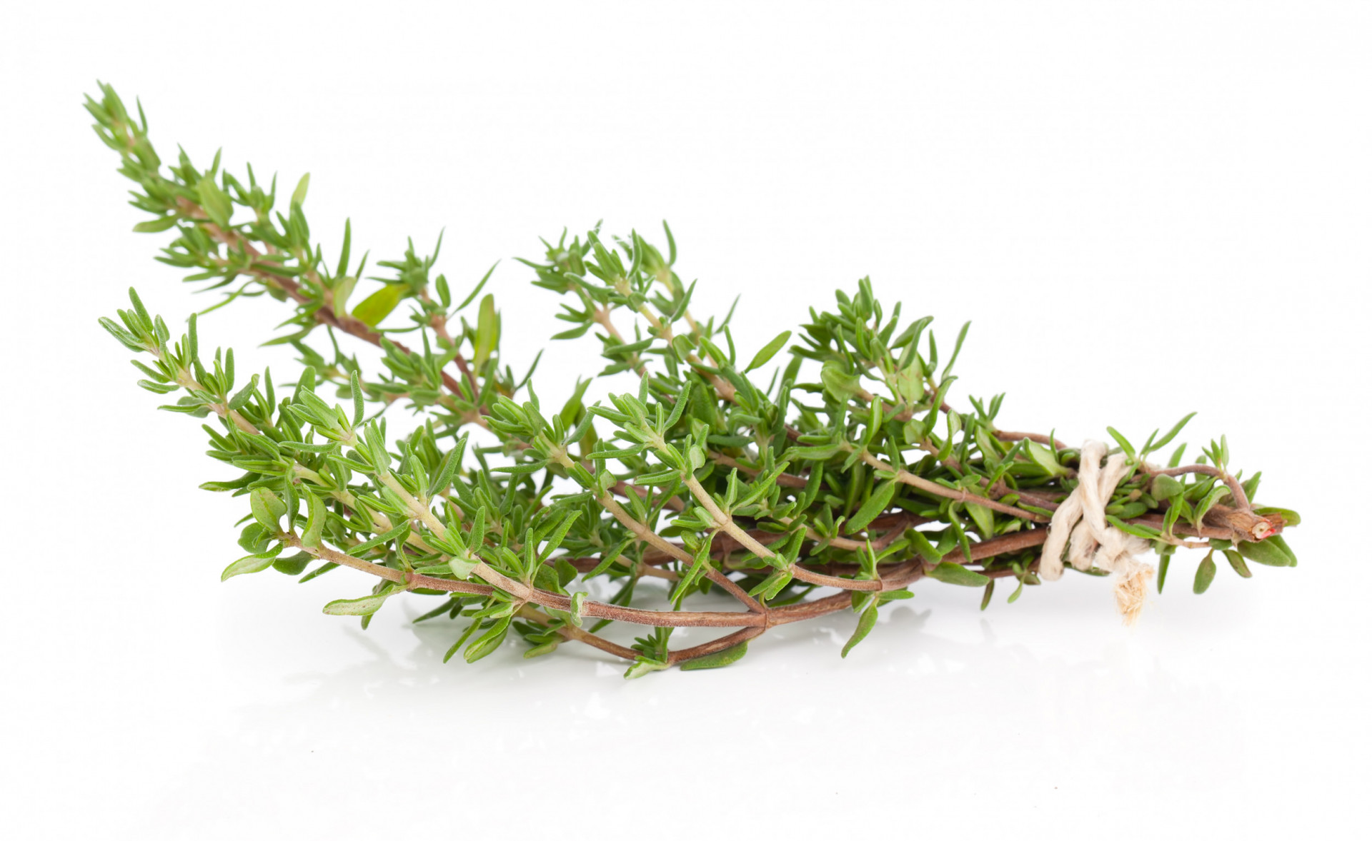 Thyme Bunch 100g Albion Fine Foods Ltd.