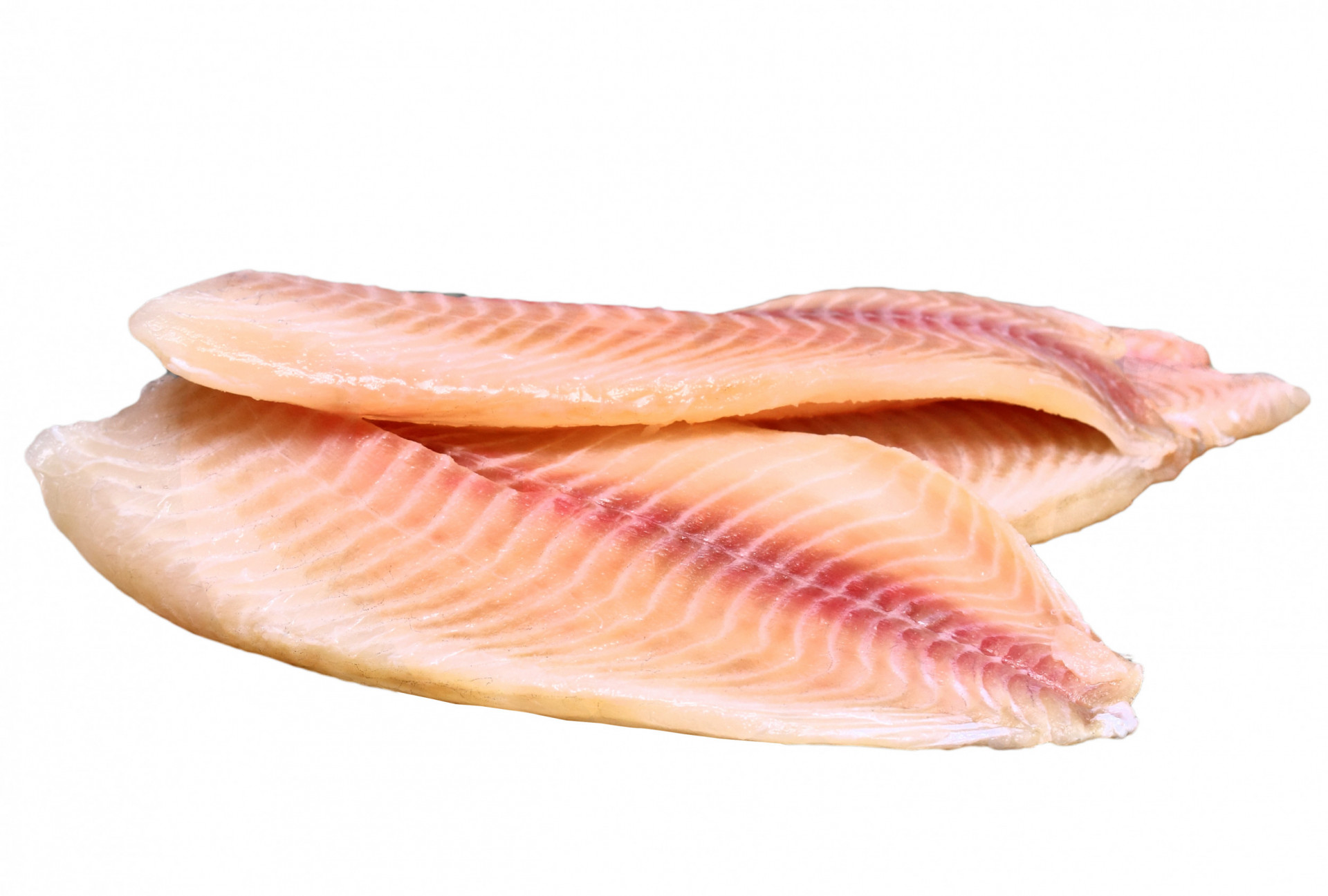 Tilapia Fillets 800g Albion Fine Foods Ltd.