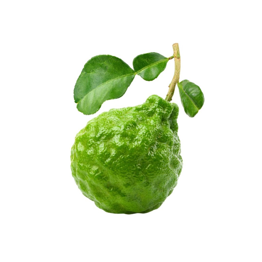 Bergamot