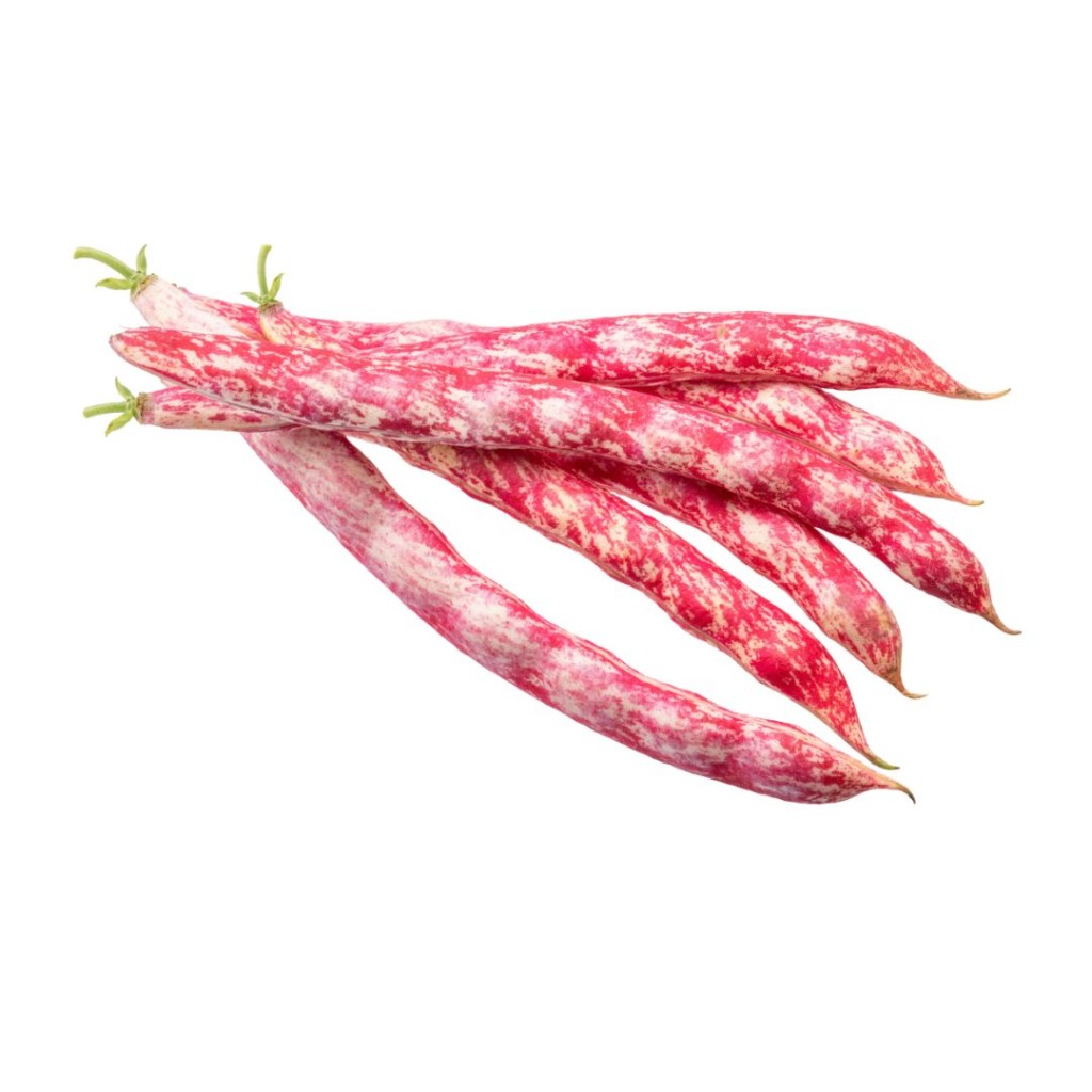 Borlotti Beans, Fresh