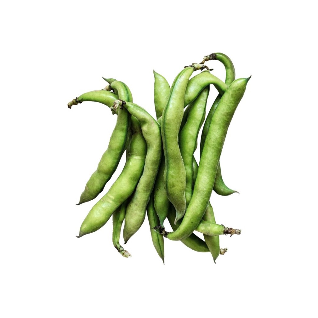 Broad Beans Fresh