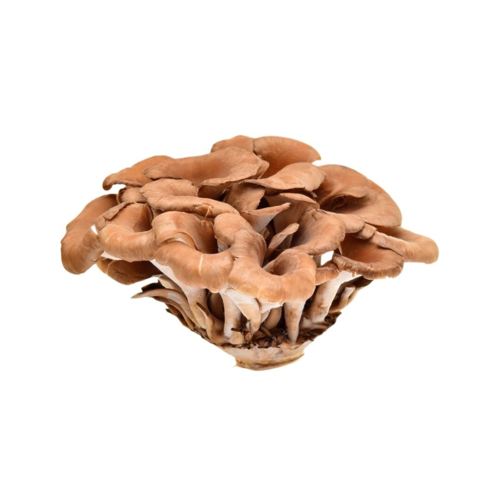 MUSHFRMAITAKE-1