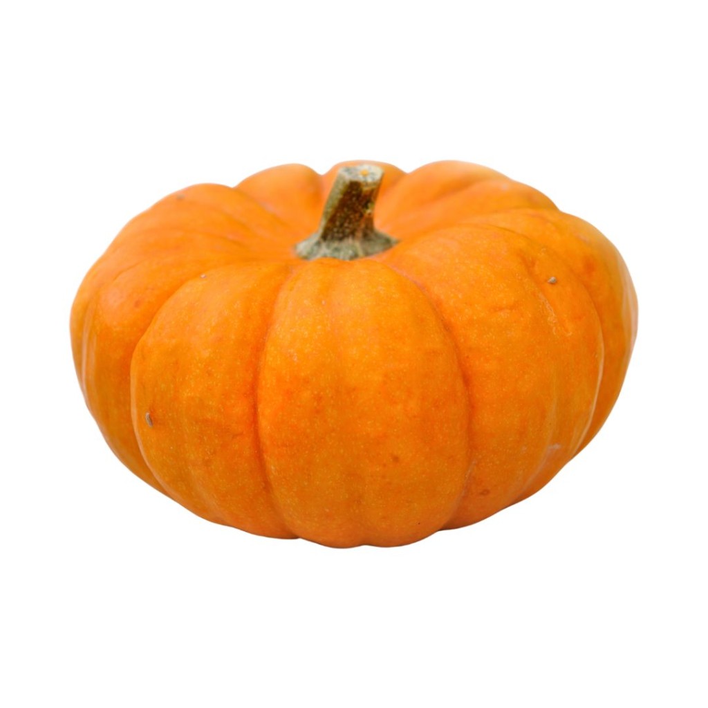 PUMPKINFRJACK