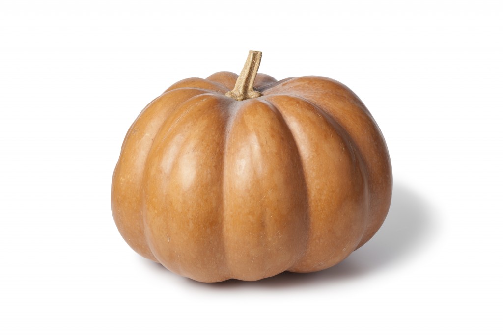 Muscat Pumpkin