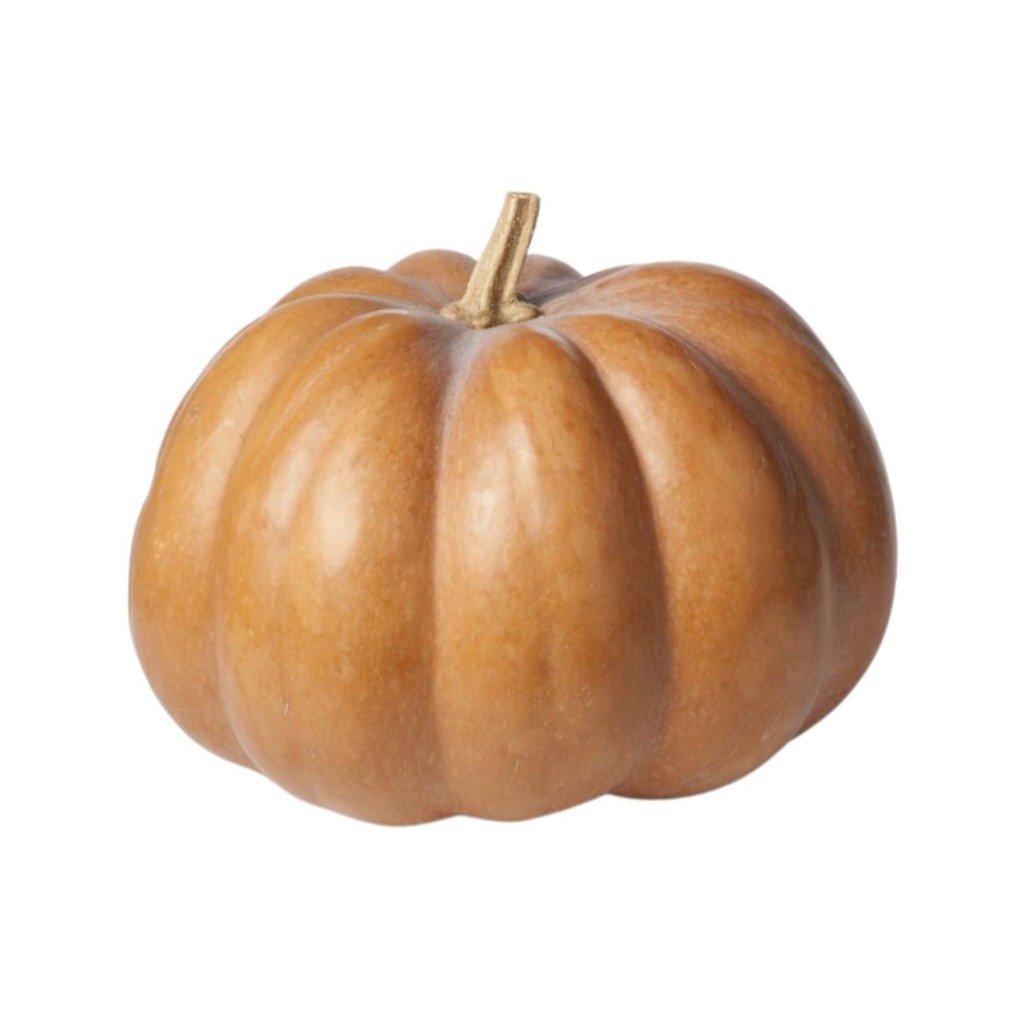 PUMPKINFRMUSC