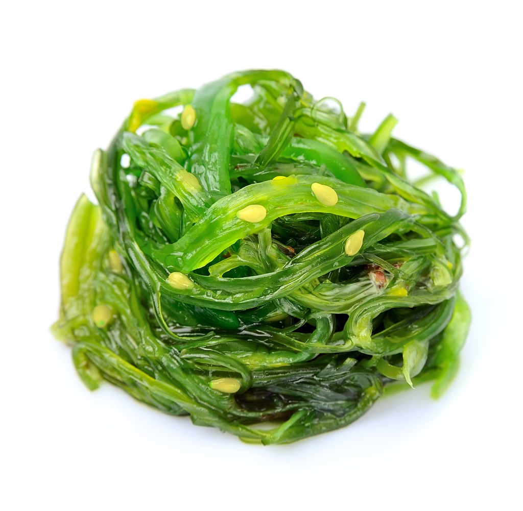 Nori Seaweed, Fresh 1kg Albion Fine Foods