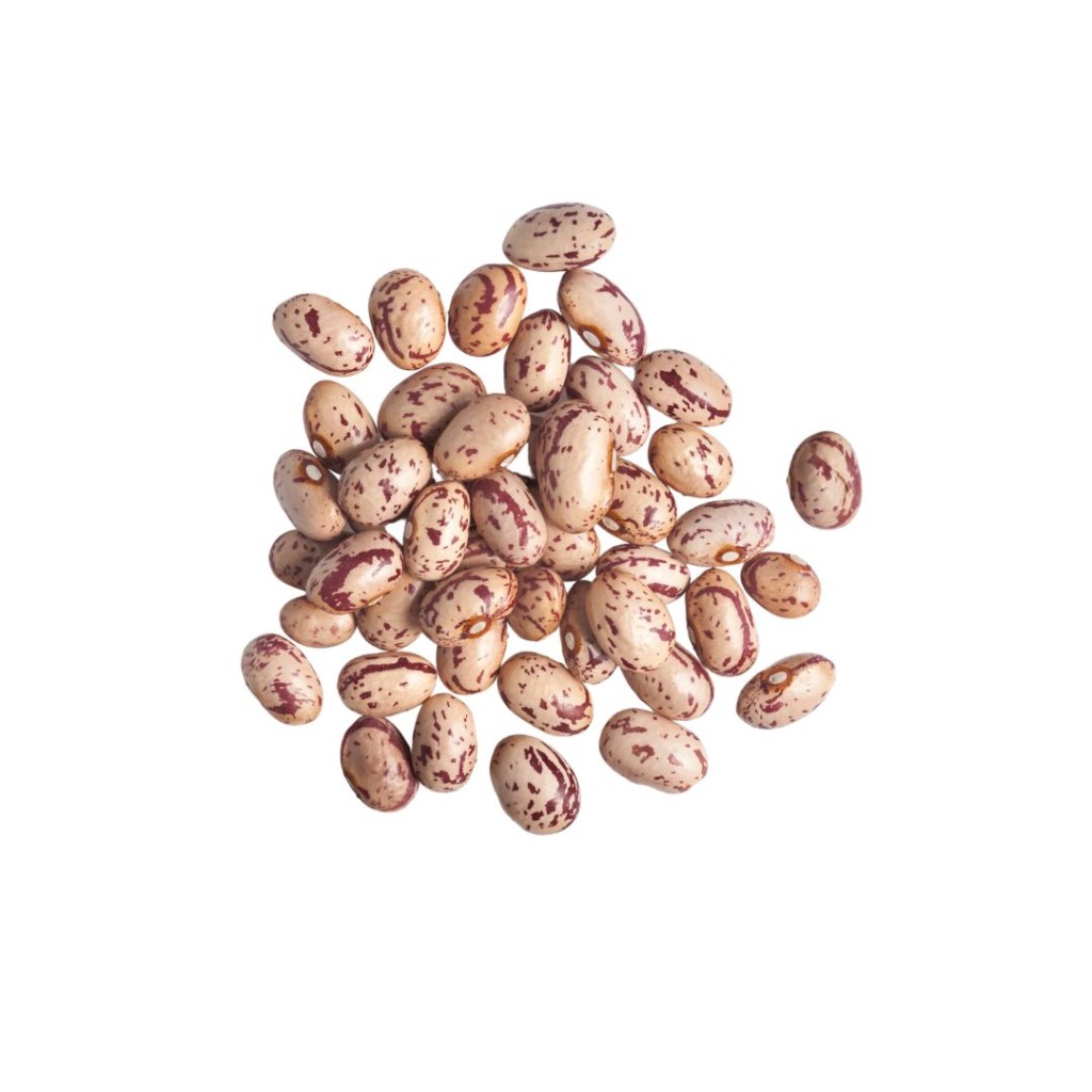 Pinto Beans Dried 1kg Albion Fine Foods Ltd.