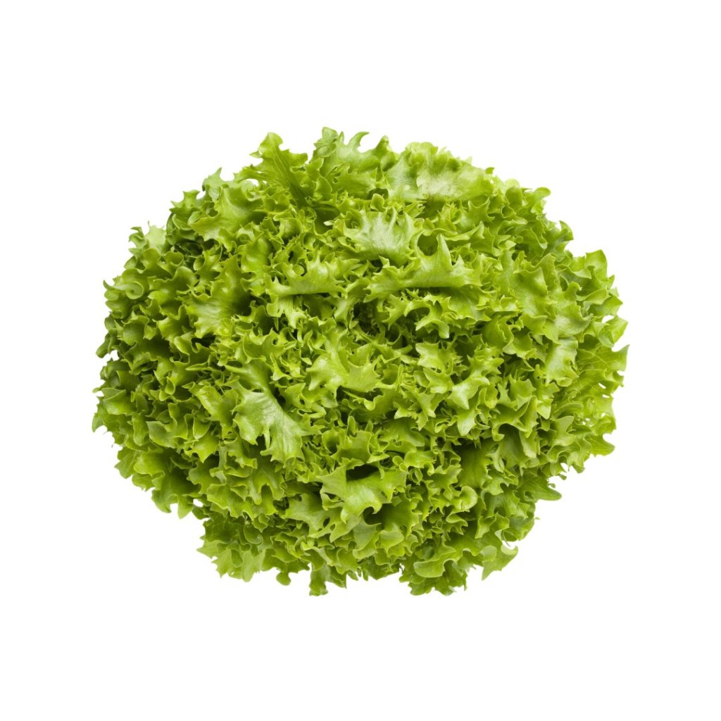 Salad Lollo Biondi Box