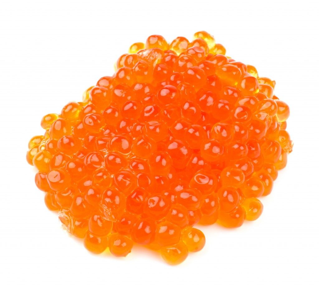 Salmon Eggs