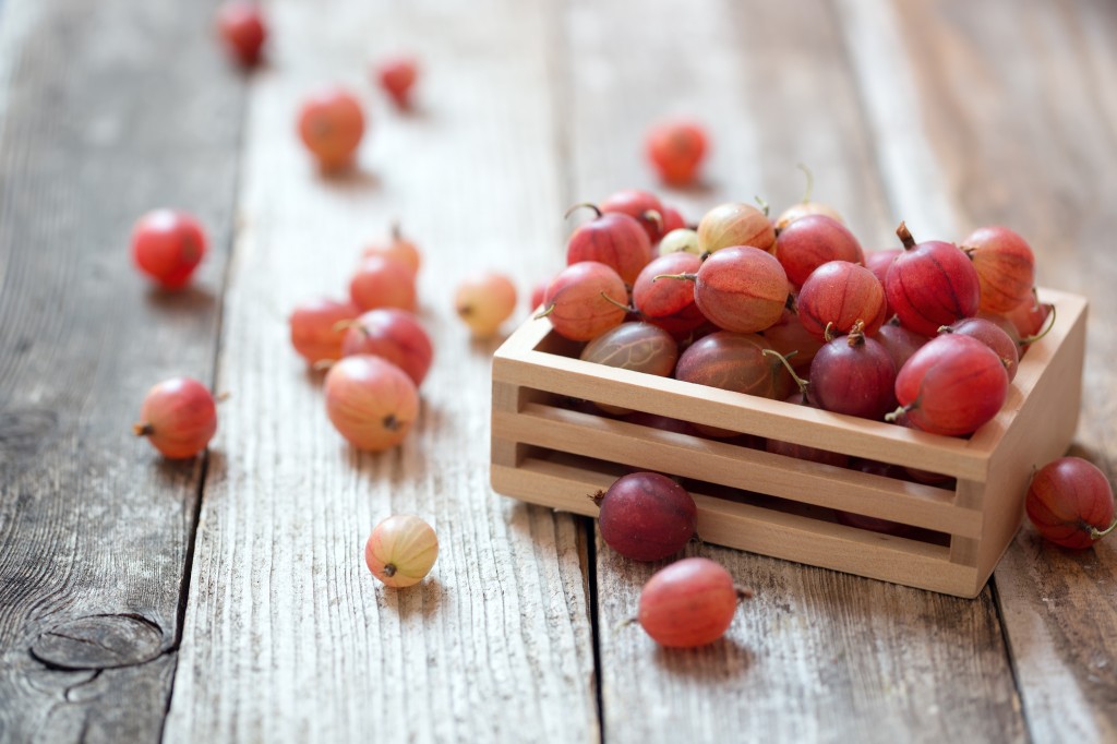 Pink Gooseberries