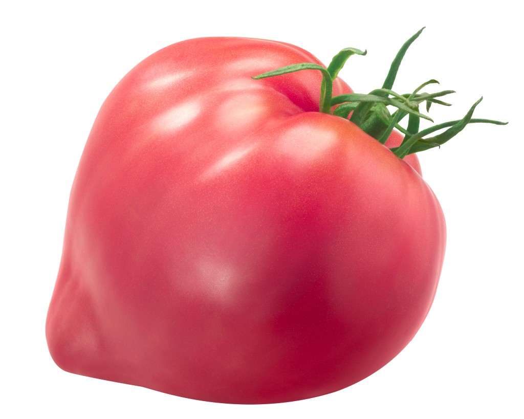 Tomatoes Ox heart Pink