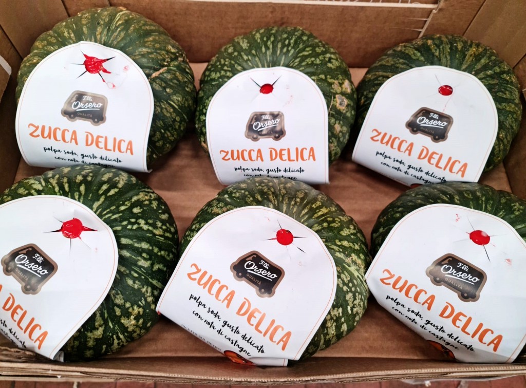 Squash Delica