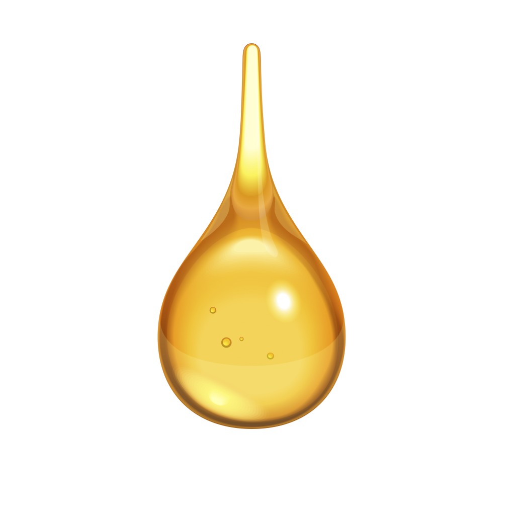 Honey Squeezy
