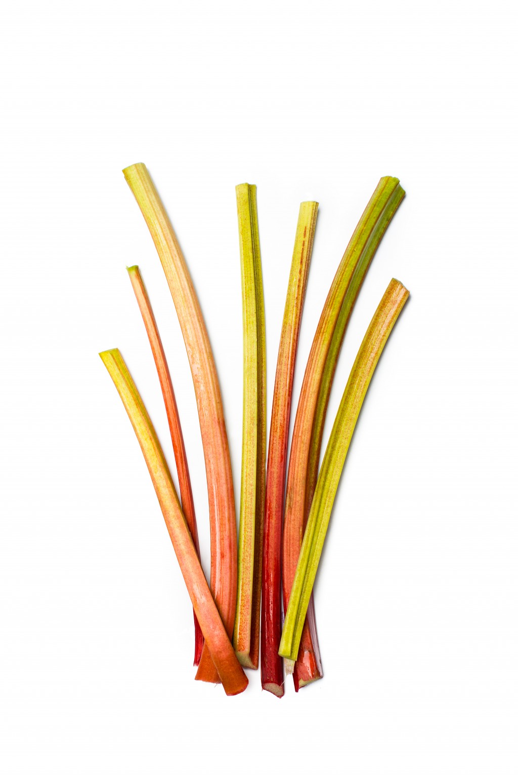 Rhubarb FRESH Outdoor
