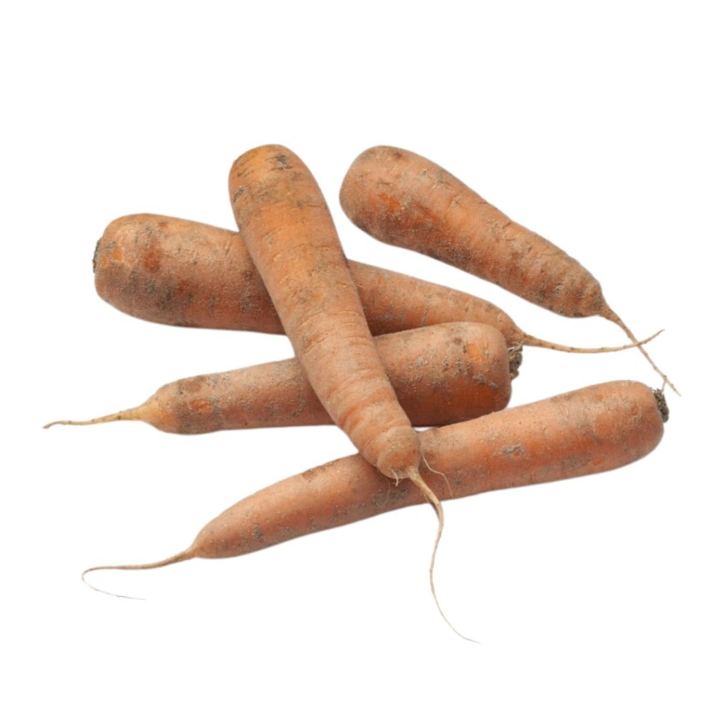 CARROTFRSAND