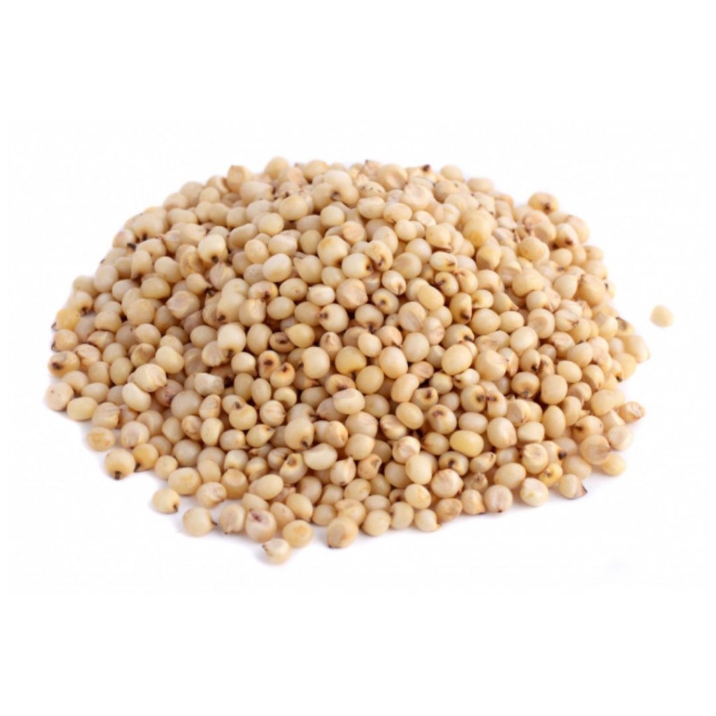 SORGHUM25