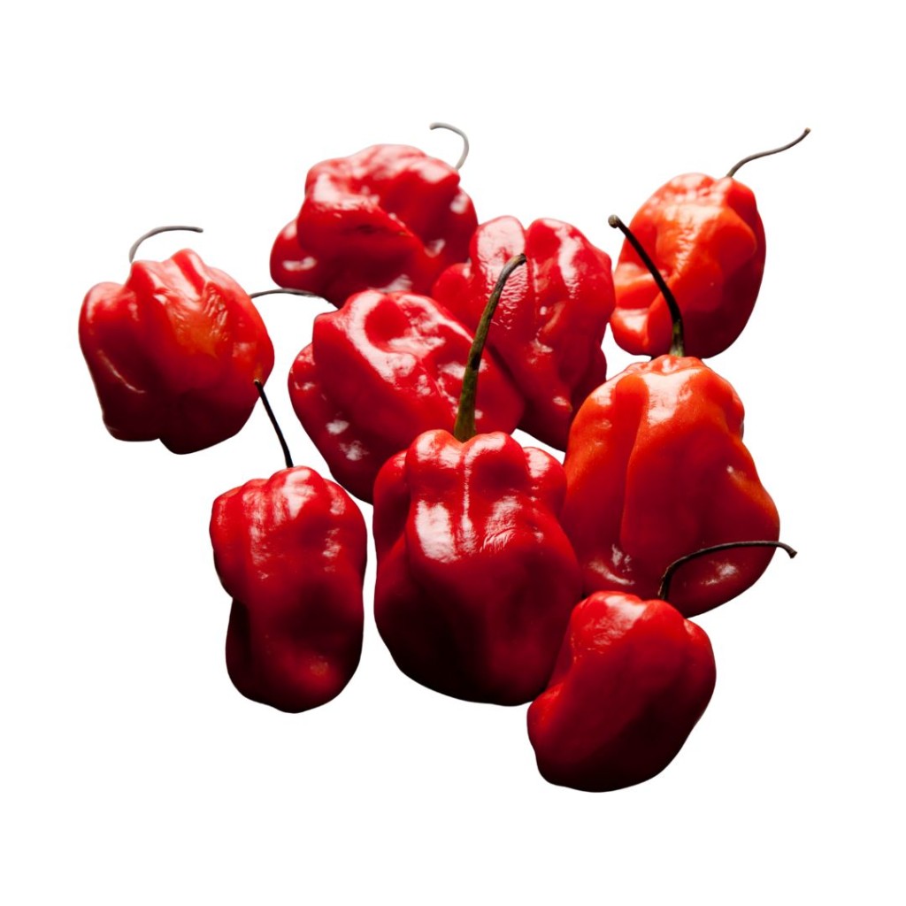 Habanero Chillies