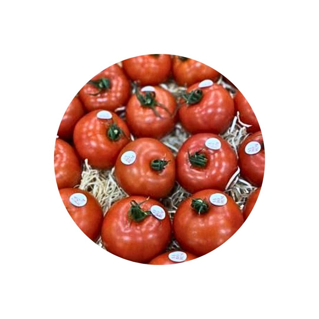 TOMATOESUMAMI-1