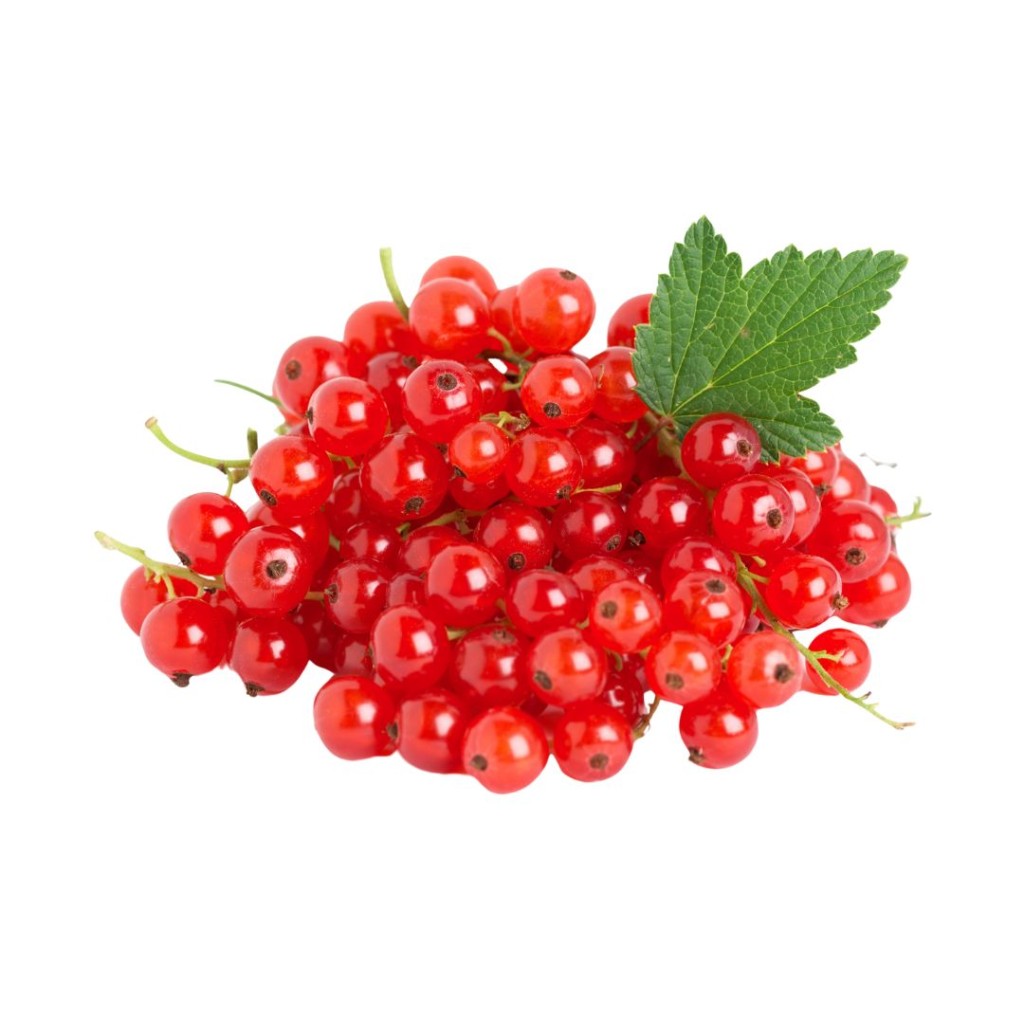 REDCURRANT-1