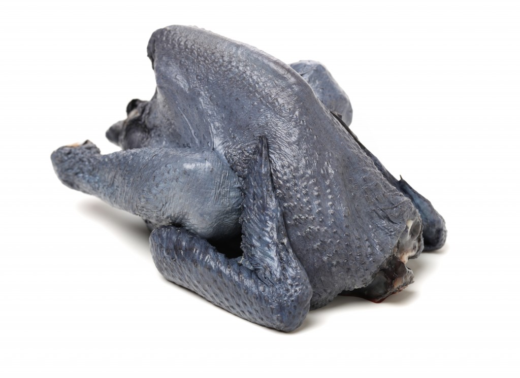 Chicken Black Landais