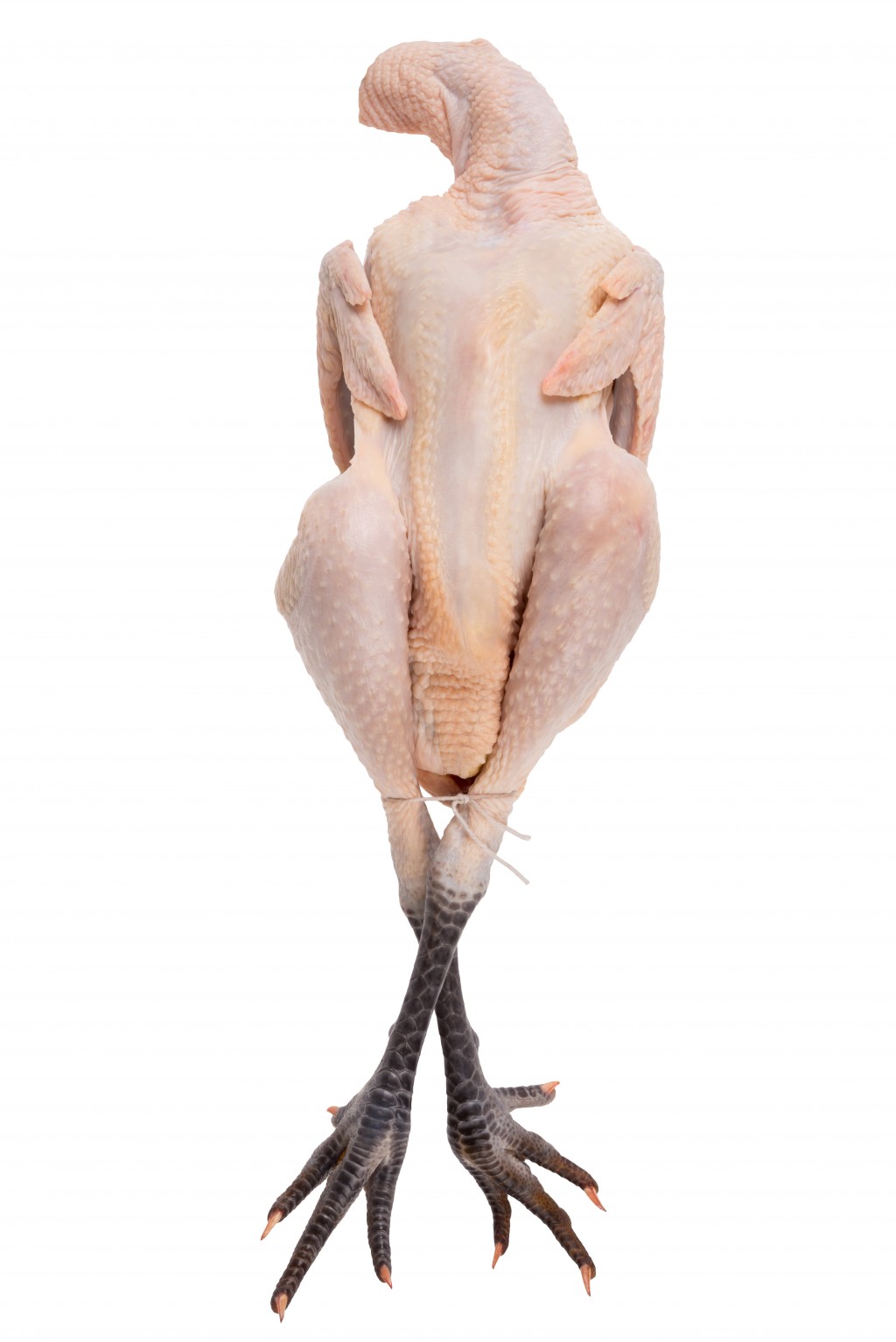 Chicken Effile de Bresse