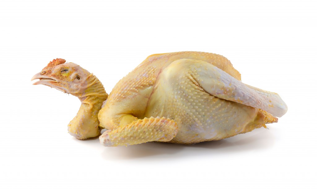 Chicken Yellow Eff Free Range