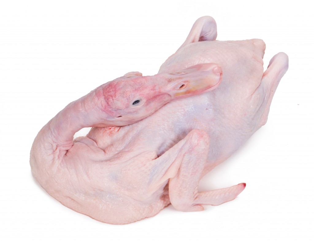 Goose Challans whole