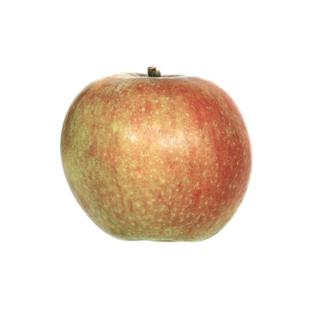 Apples Ribston Pippin