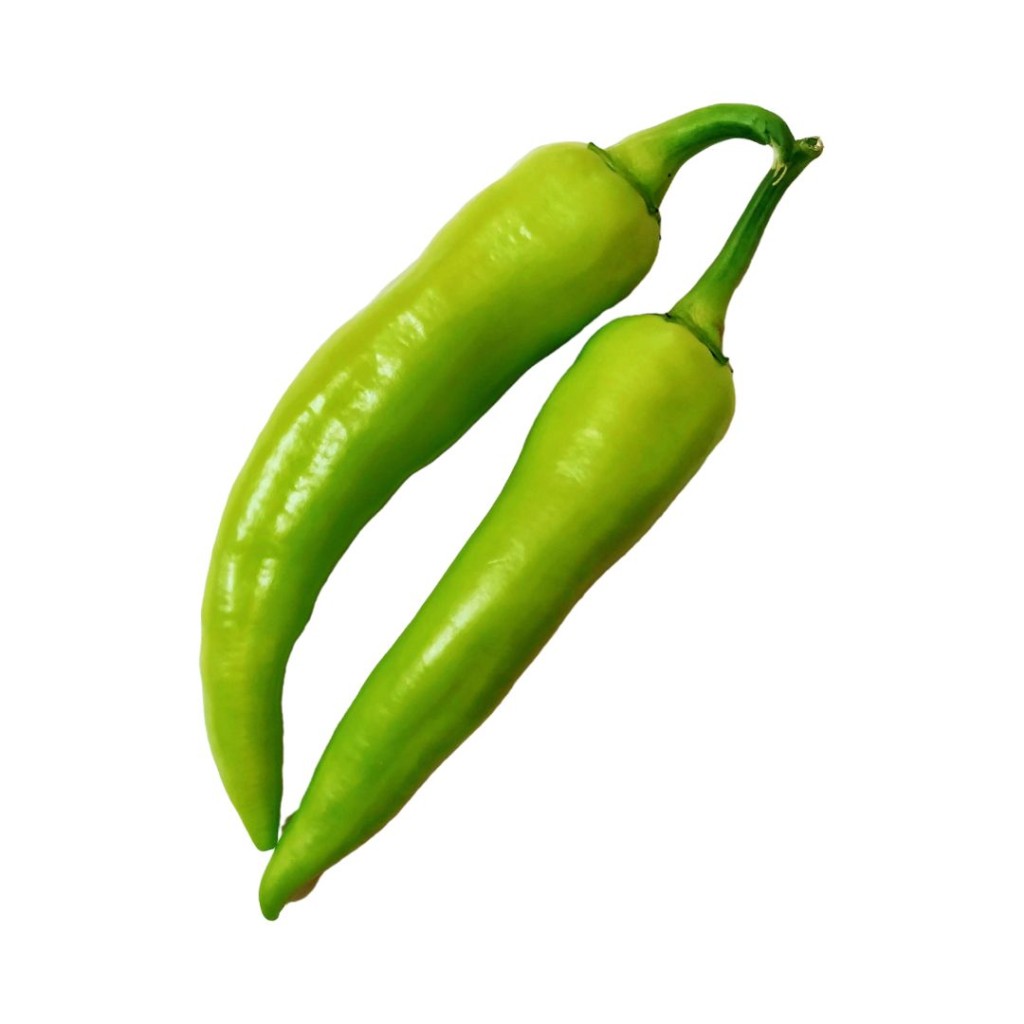 CHILLIFRBIRD