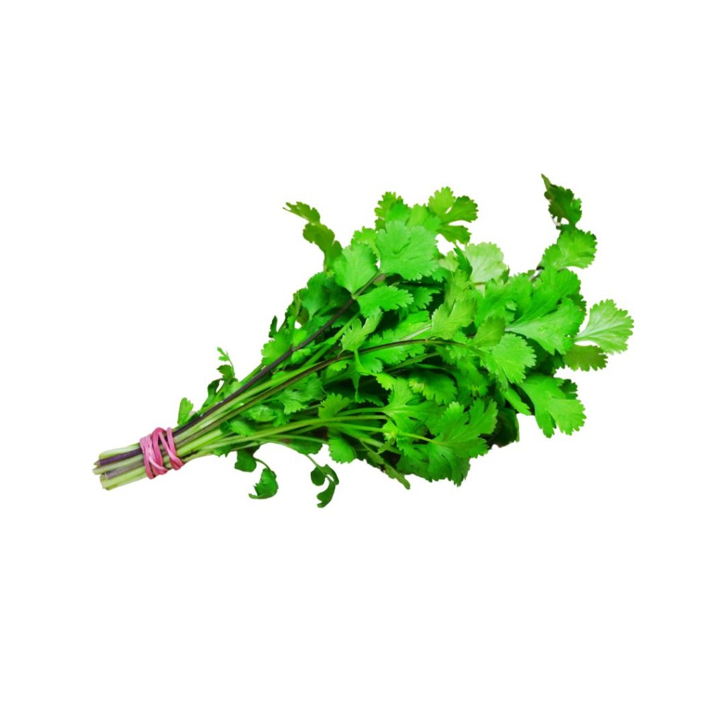 CORIANDERRETC