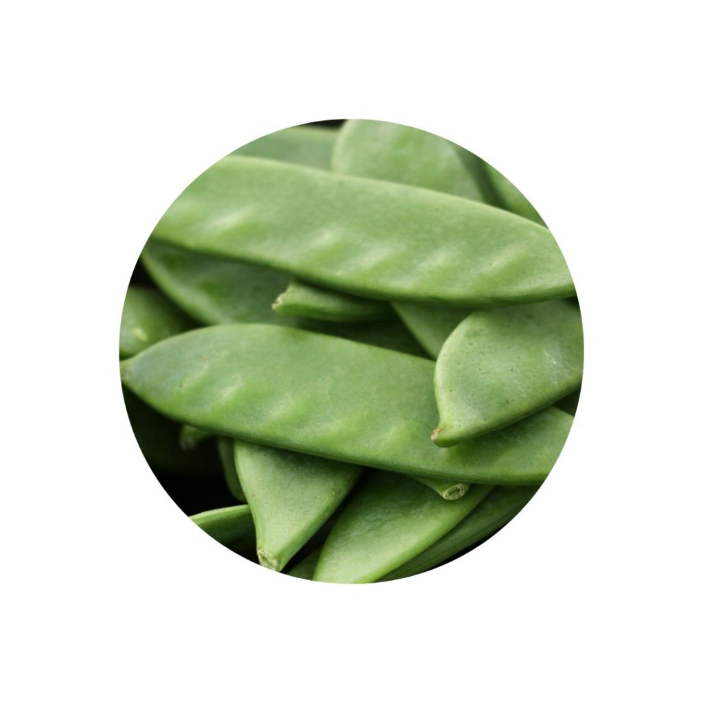 MANGETOUTL