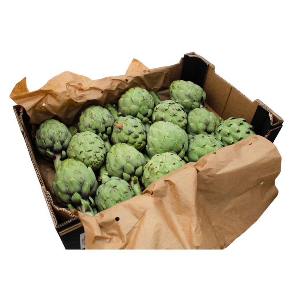 Artichoke Globe, Case