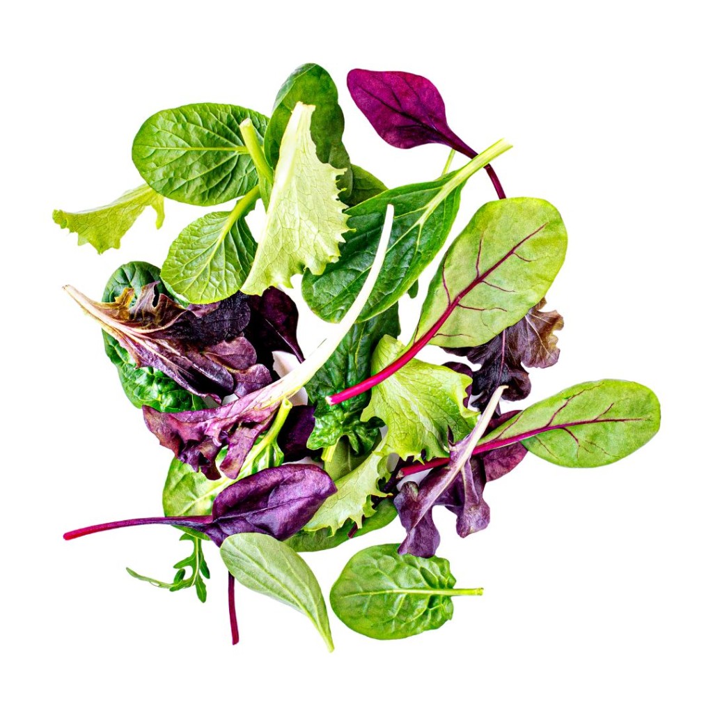 SALADLMIXWASH