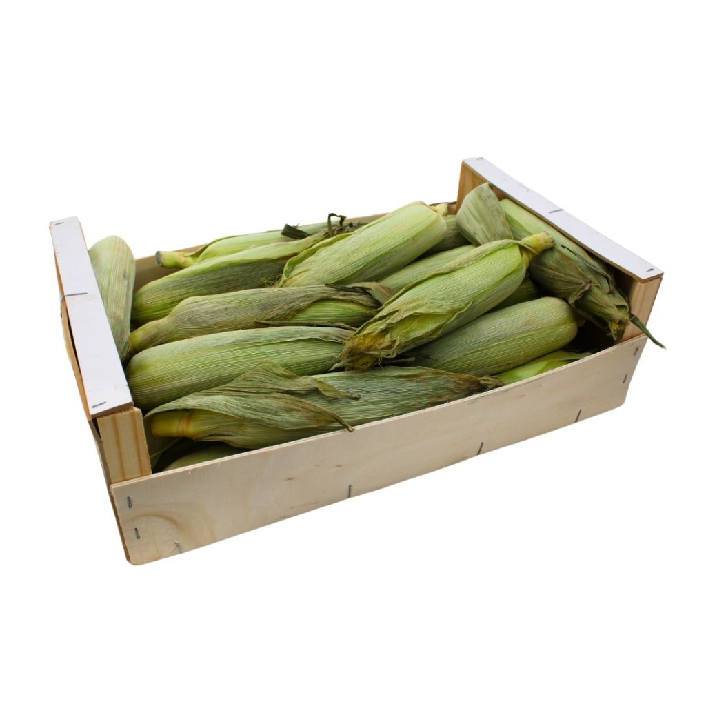 Corn on the Cob Fresh, Case