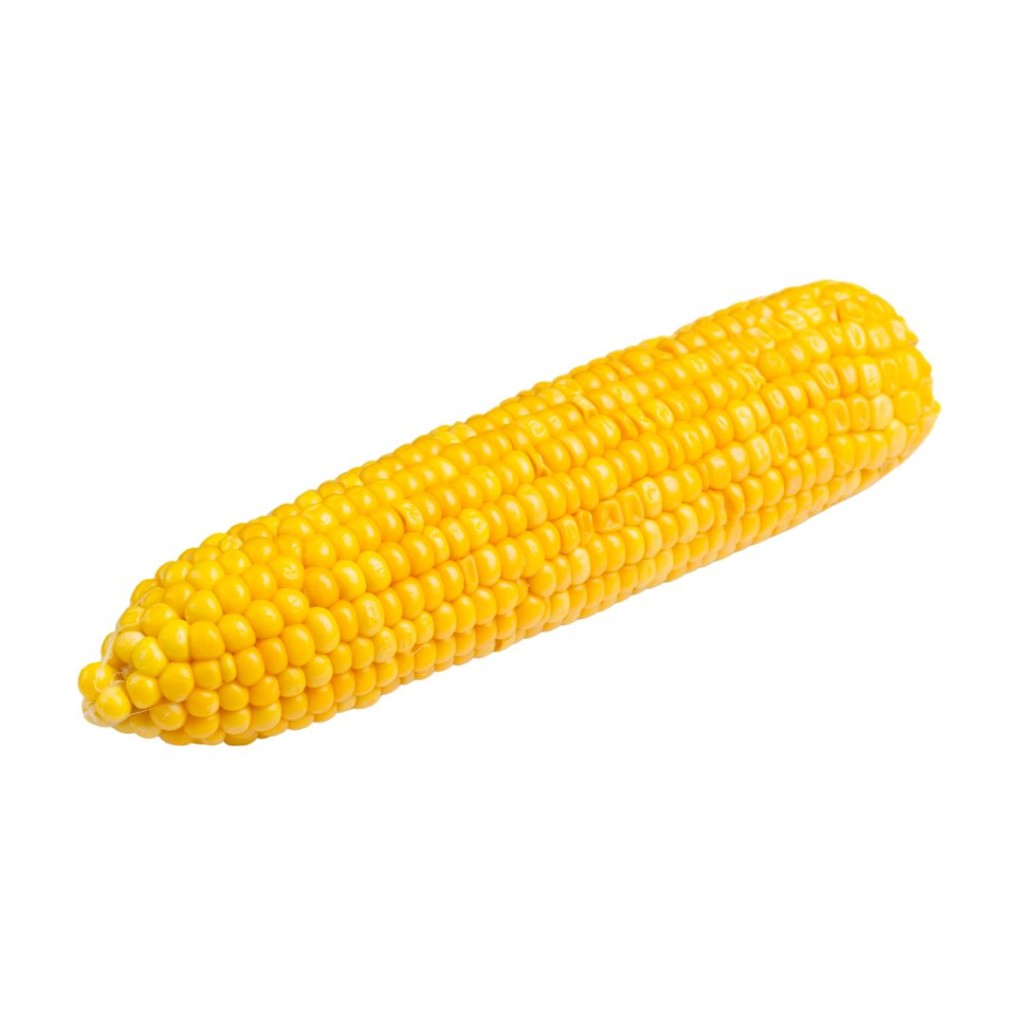 CORNCOB30-1