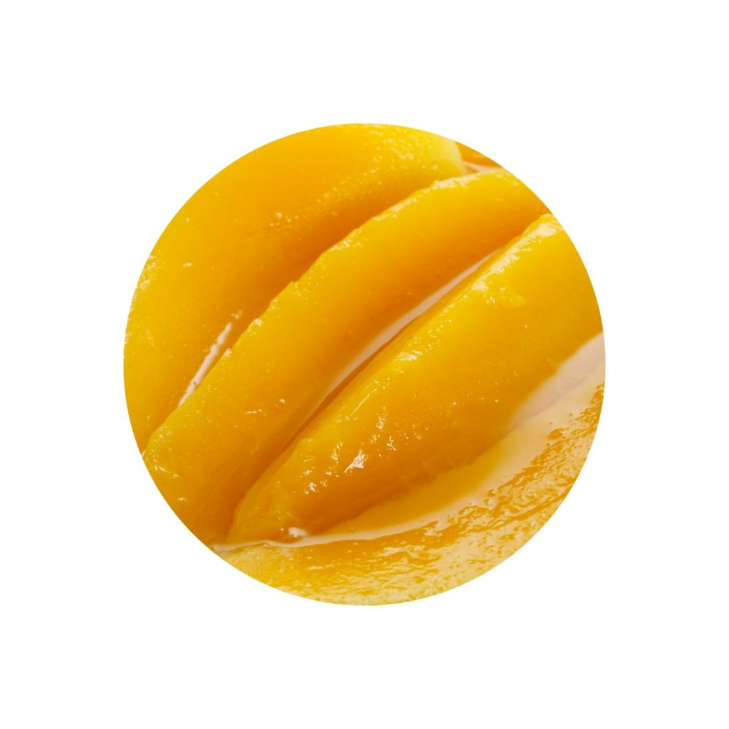 Mango Slices in Syrup, Tinned close up