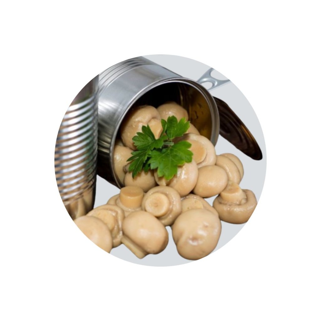 Mushroom Whole Tinned