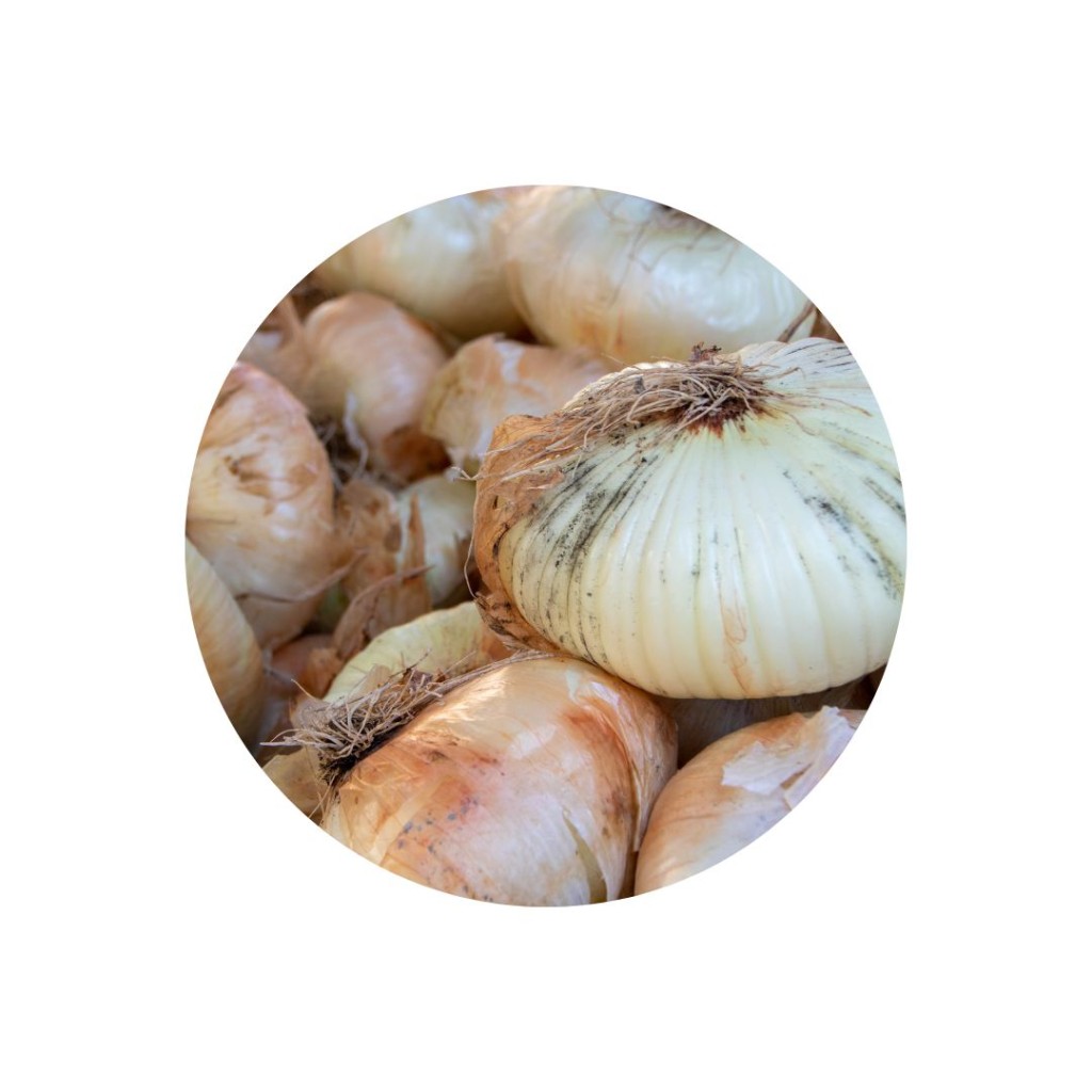 Onions, Giarratana